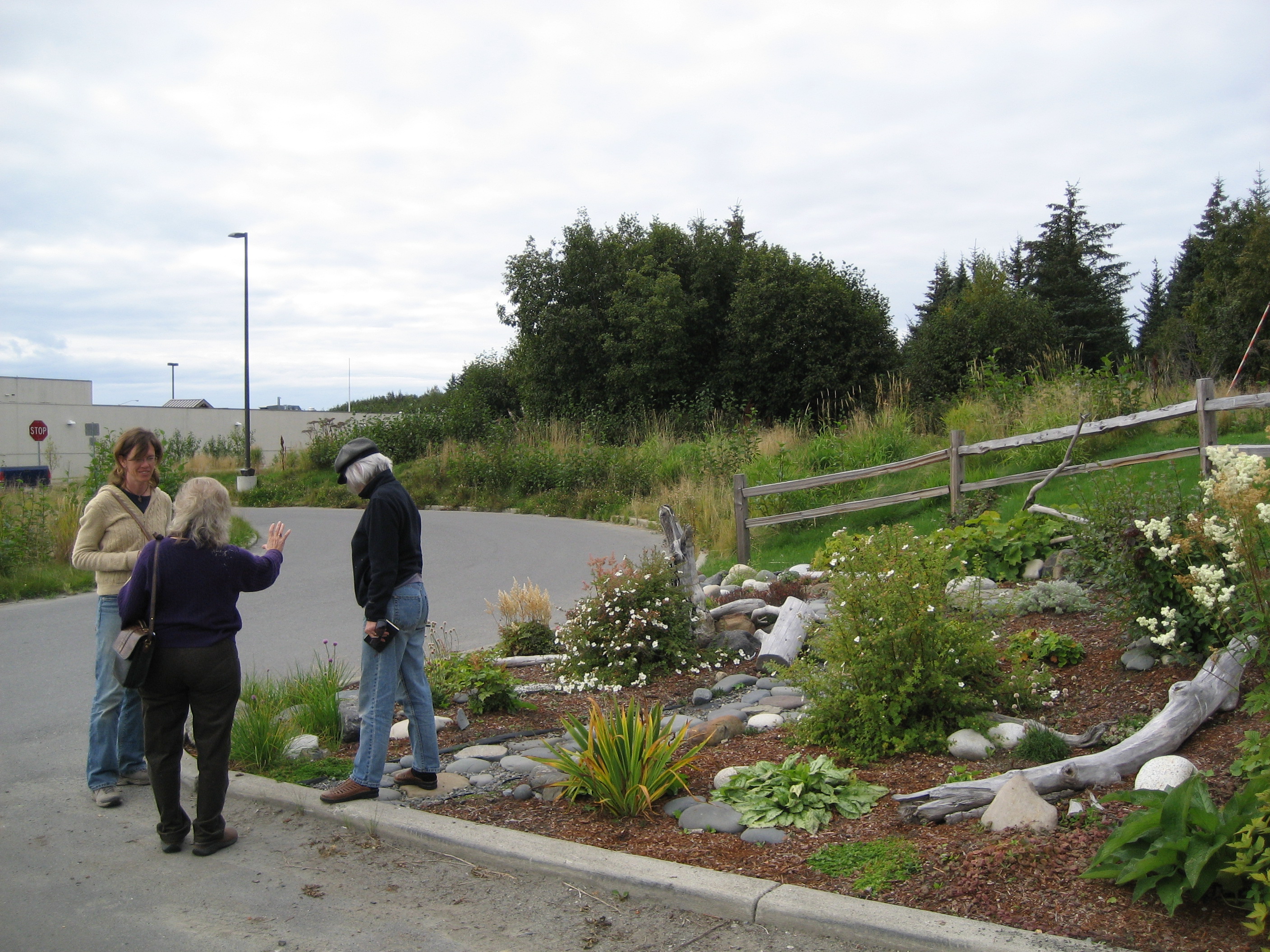 Landscaping City of Homer Alaska Official site