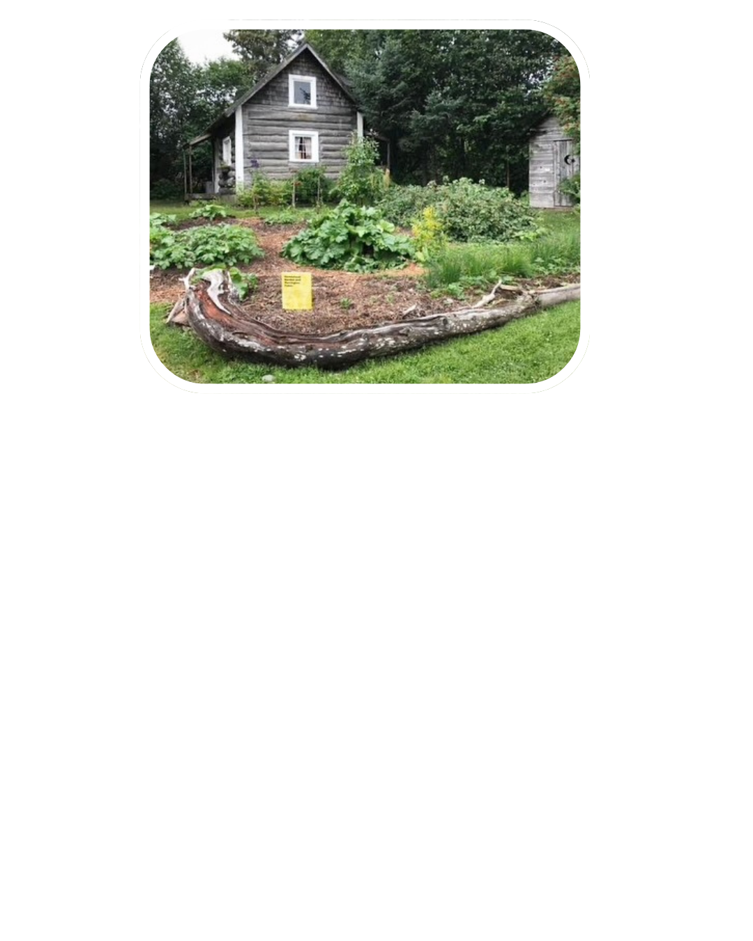 Photograph of the Harrington Cabin