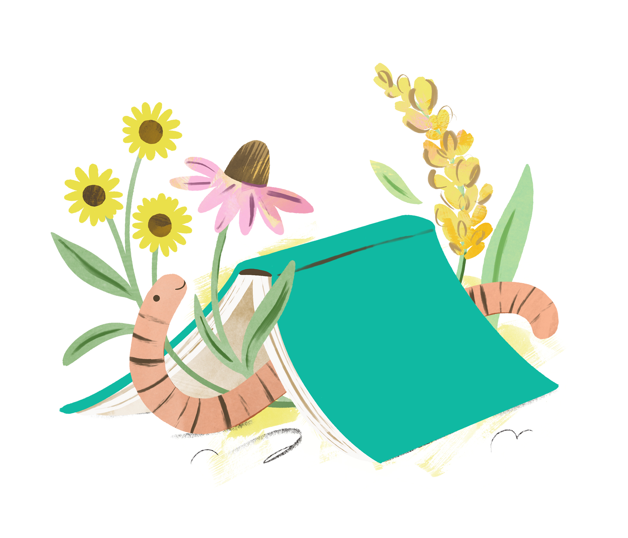Nature Journaling with Krisitn Link Drawing of worm under book with flowers by Sarah Ferone