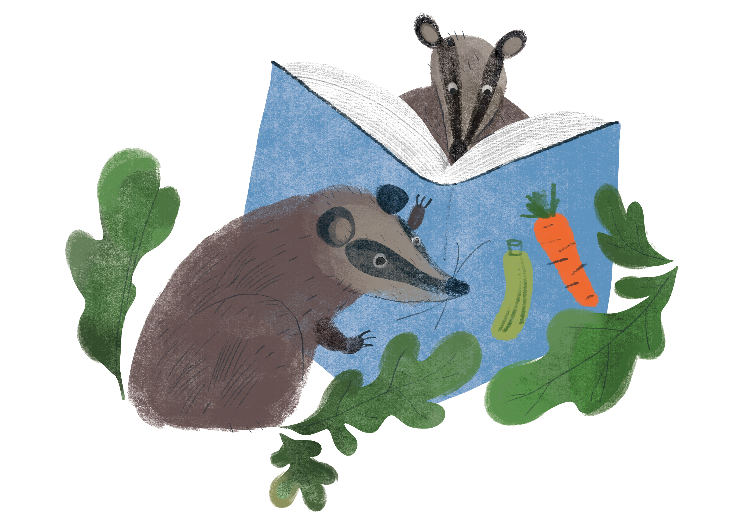 Reading Badgers by Hatem Aly