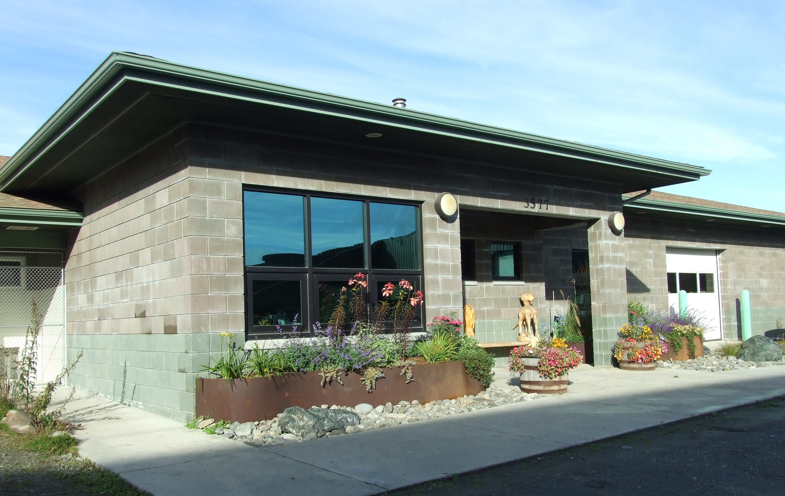 Animal Shelter City of Homer Alaska Official site