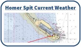 Homer Spit Current Weather