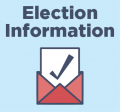 Election Information Icon