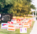 blurred campaign signs in grass