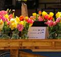 Wooden cart on sidewalk with vases of yellow daffodils and pink tulips for sale