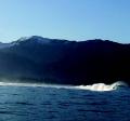 Standing wave in Kachemak Bay near the entrance to China Poot Bay.