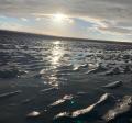 photo of tide pools with sun reflecting off of