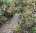 photo of a plume used for stormwater mitigation 