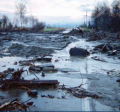 Flooding in Homer