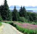 Reber Trail