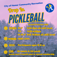 drop in pickleball