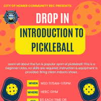 beginner pickleball