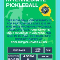 Intermediate pickleball