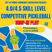 Competitive Pickleball