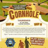 Drop In Corn Hole