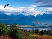 Eagle soaring over view of the Spit