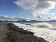 Bishop's Beach - Surf's up!