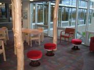 Trees by Paul Dungen & mushroom chairs by Lisa Krebs