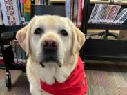 R.E.A.D. with Ruger - Summer@HPL 2022