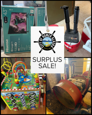 collage of boxed tv's, a boot dryer, a wooden toy and an industrial blower with the City of Homer logo and words, Surplus Sale