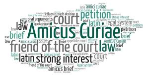 Amicus-Curiae