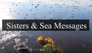 Photo of beach at tideline with green glass float and piece of bull kelp
