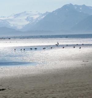 Beach scene.