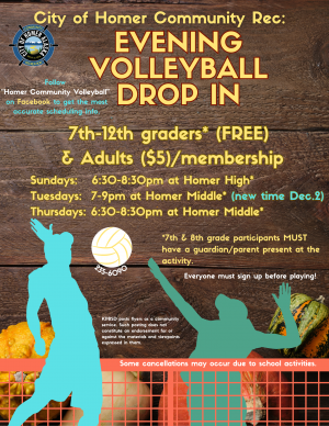 Evening Volleyball Drop In