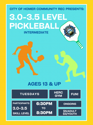 Intermediate Pickleball