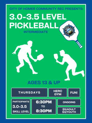 Intermediate Pickleball