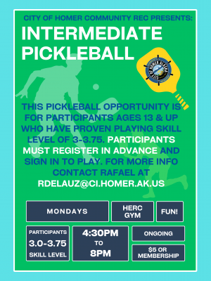 Intermediate pickleball
