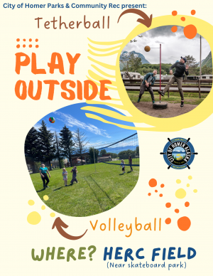 Tetherball Volleyball