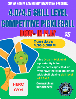 Competitive Pickleball