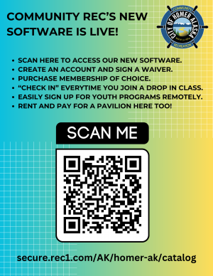 software flyer