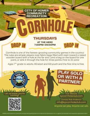 Drop In Corn Hole