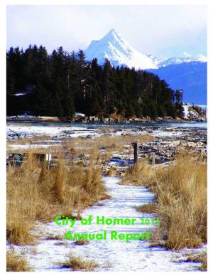 Cover of City of Homer 2011 Annual Report featuring Beluga Slough in the winter.