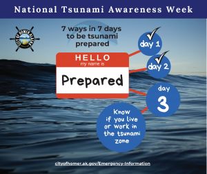 Day 3 Tsunami Alerts