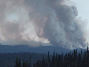 Caribou Hills Fire 2005