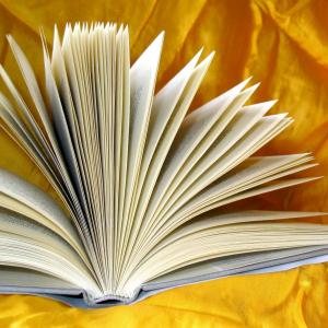 An image of an open book