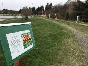 picture of story walk station and trail outside library