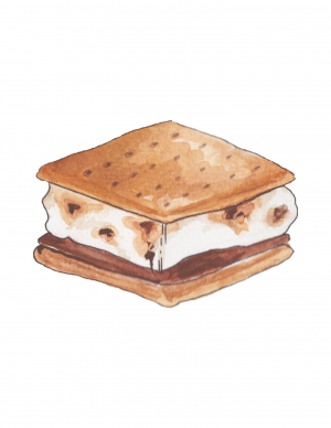 image of a smore