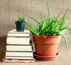 2022 Spring Book & Plant Sale for FHL Members, Friday April 29