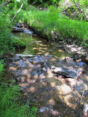 Flowing creek water