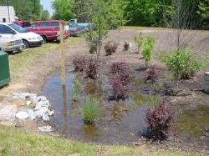Making Gardens To Hold Rain City Of Homer Alaska Official Website Rain Gardens Create Functional Landscapes By Soaking Up And Filtering Rainwater That Runs Off Roofs Driveways Lawns Or Other Impervious Surfaces