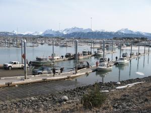 The Official Site of the City of Homer Alaska