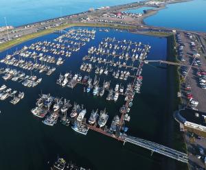 Aerial image of Float System 4 in Homer Port and Harbor filled with boats.