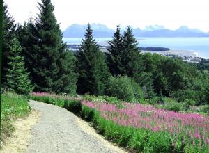 Top of Reber Trail