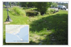 Photo of stormwater bioswale at Homer Public Library with map of Homer inset.