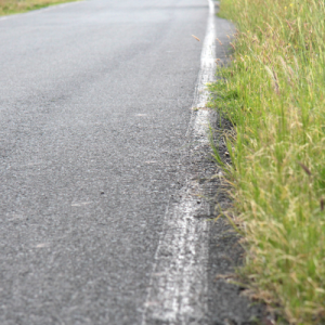Asphalt road with a white edge line and grasses growing in the right of way