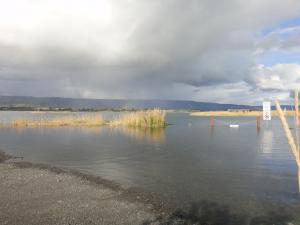 Louie's Lagoon Sept. 2011 High Tide